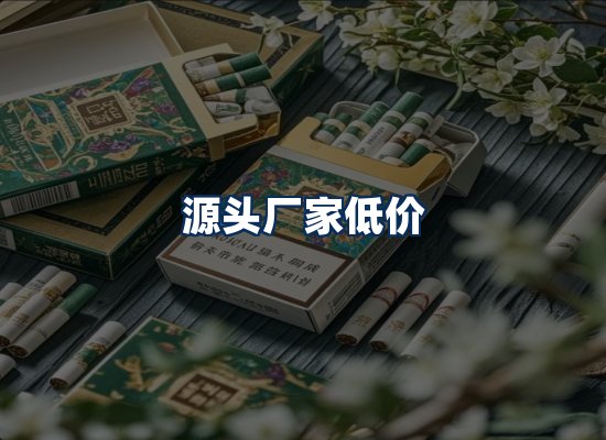 专业团队办公环境